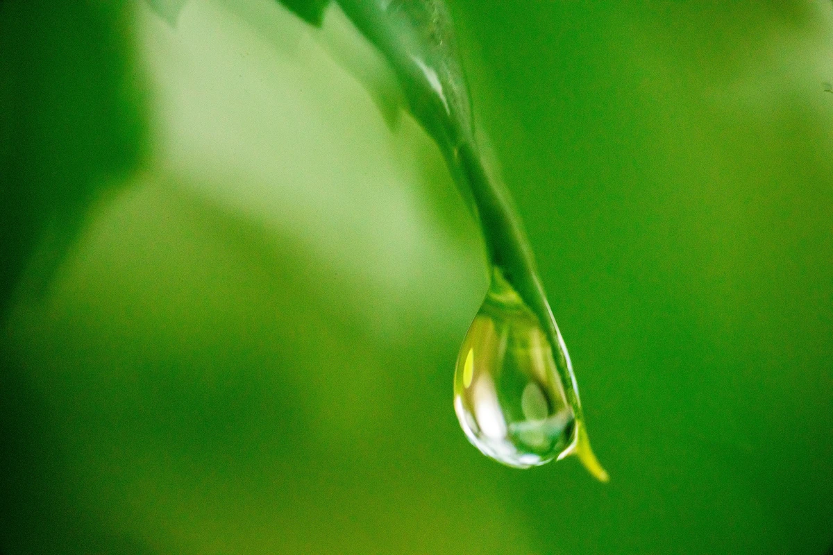L'accès à l'eau potable en Afrique : un droit fondamental face aux défis des infrastructures